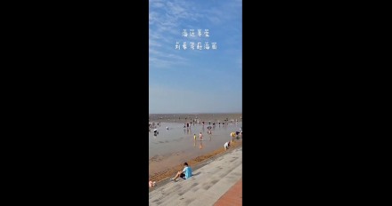 海邊尋寶，劉家灣趕海園—泰安金輝國旅